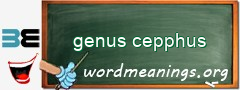 WordMeaning blackboard for genus cepphus